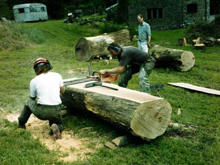 Cornwall Tree Surgeon